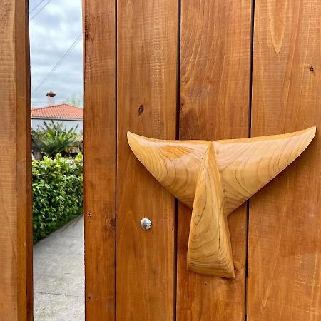 Azores Bagus Surf House Ponta Delgada Exteriér fotografie