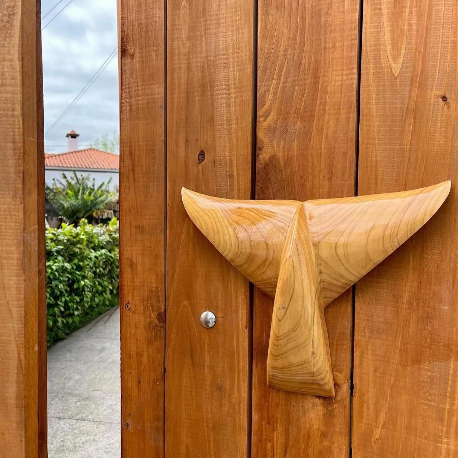 Azores Bagus Surf House Ponta Delgada Exteriér fotografie